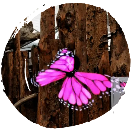 360-hologramme-flashboutic