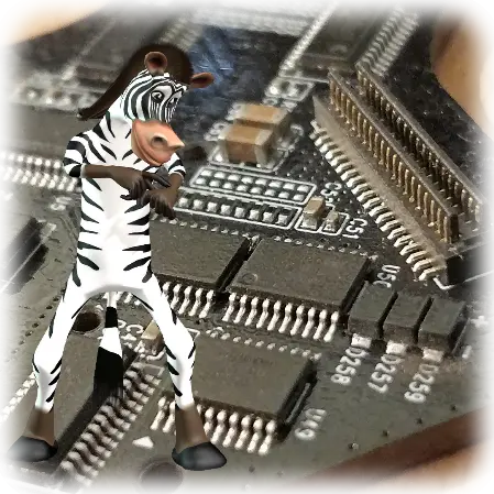 Skippy sur pale hologramme